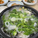 향촌복집 | 경남 사천 동금동 현지인로컬맛집 “향촌복집” 참복지리탕 1인 1뚝배기로 시원하게 몸보신하기
