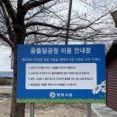 씨유(CU) 영천임고점 | 경북 영천 노지 캠핑 추천 “곰들덤공원”