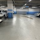 양산 물금 미용실 커트 염색 잘 하는 모스트헤어 양산범어점