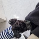 네일빛나리