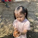 송면초등학교 병설유치원 이미지