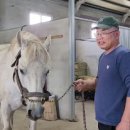 송마목장 이미지