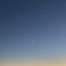 제주노을보리 | [제주/애월] 애월흑돼지 ‘고이정 보리짚불구이’ 또간집 내돈내먹 후기_제주도민 고기맛집