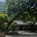 해남군-08 | [해남] 카페유선, 자연 속 고즈넉한 분위기의 한옥 카페 ☕️🌳