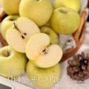 경북 청송 고당도 시나노골드사과 다양한 사과요리 만들기