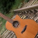 통기타기초(1년) 이미지