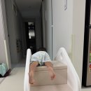 돌아기 어린이날 선물2 대근육 발달 아이팜 코지 하우스 미끄럼틀 내돈내산 후기