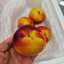 복주농장 이미지