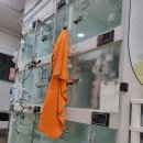 수의 | 우당탕 동물병원 수의테크니션 후기