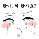 여우뷰티 이미지