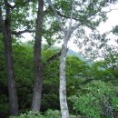 원기마을 이미지