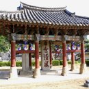 유림모사