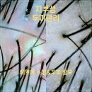 예쁘미 스킨&두피탈모