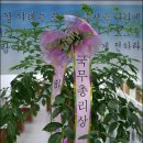 인천학생6.25참전관 이미지