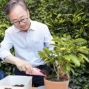 정원지원센터 이미지