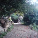 동백민박 이미지