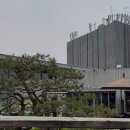 학교앞휴게소 | 덕평자연휴게소, 푸드코트 반려견 펫파크 휴식공간 있는 휴게소 다녀온 후기