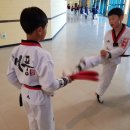 태풍태권도체육관 이미지