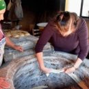 제이제이식당 이미지