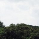 명기획 이미지