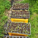 애월의정원 이미지