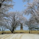 왕궁리유적 이미지