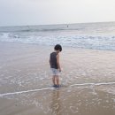 오송태권도장 | 2019 6살 이한이의 여름 방학