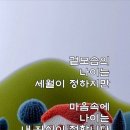 떡국이 몸에 안좋은 이유 이미지