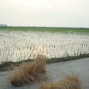 두리펜션 이미지