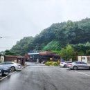 백설공주 팬션 | 칠곡가볼만한곳 세아수목원 휴양림 10월 여행