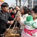 금산군청 광장 이미지