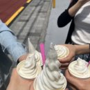 평화목장 이미지