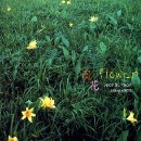 Sentimenta 이미지