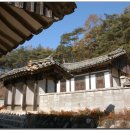 경광 이미지