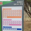 수덕골미락 | [충남 예산군] 현지인추천받아 간 예산맛집 수덕사 산채비빔밥 &#34;수덕골미락&#34; 솔직후기