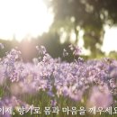 영통경기간호학원 이미지