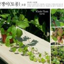 원하농장 이미지