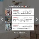 오로라 캣 이미지