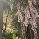 스콜 | 서면 스콜(SKöLL) 후기: 피자부터 맥주까지, 분위기 맛집