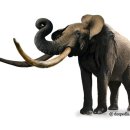 덕소자연사박물관 이미지