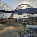 건수목장 이미지