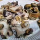 더 설렘 온수수영장펜션 이미지