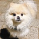 불광로 | 은평구돈까스맛집 해를품은달카츠 후기｜불광동 오픈키친 카츠 + 가성비 혼밥 추천