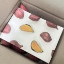 써니당구 이미지