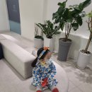 비앤씨안과의원 이미지