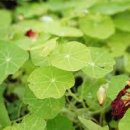 전국상가,빌딩부동산중개사무소 이미지