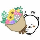 매경미디어센터 | [매경]매일경제 대학생 서포터즈 17기 합격 및 발대식 후기