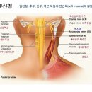 새롬의원 네이버블로그
