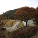 길치근린공원 이미지