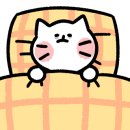 송정스테이 이미지